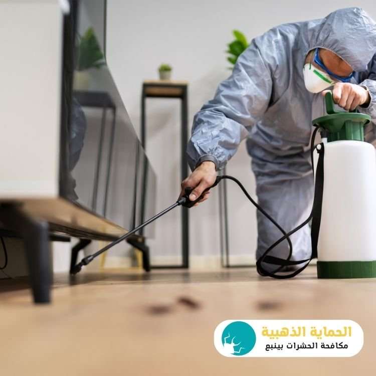 شركة رش حشرات بينبع