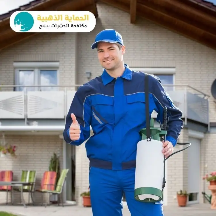 شركة مكافحة حشرات بينبع بالضمان
