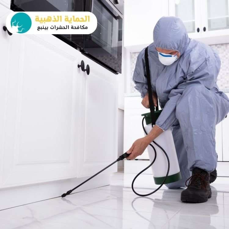 شركة مكافحة حشرات بينبع بافضل سعر