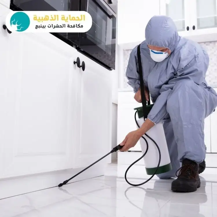 شركة مكافحة حشرات بينبع بافضل سعر