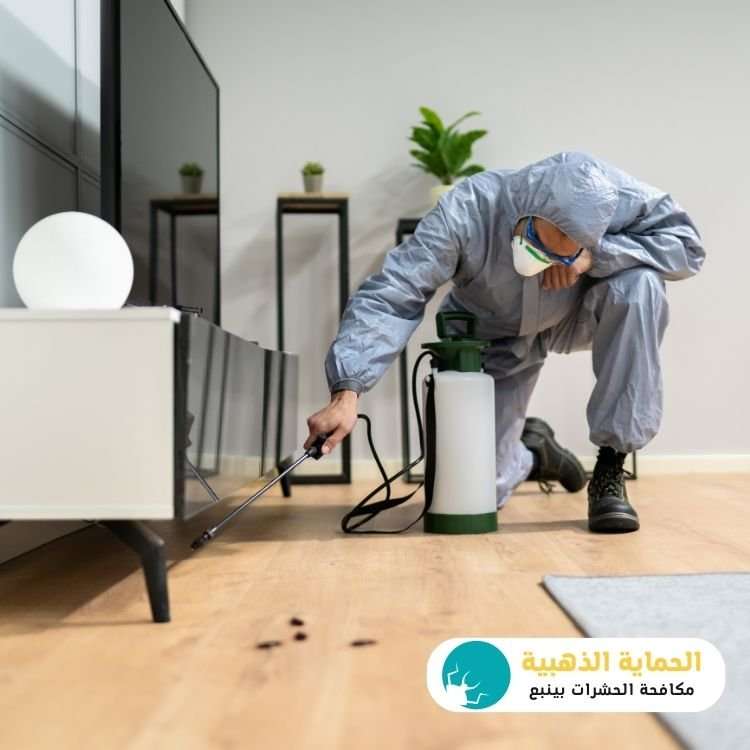 شركة مكافحة حشرات بينبع