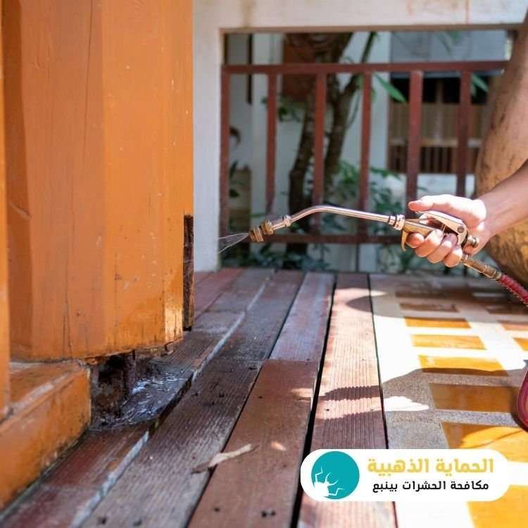 رش المنازل بينبع