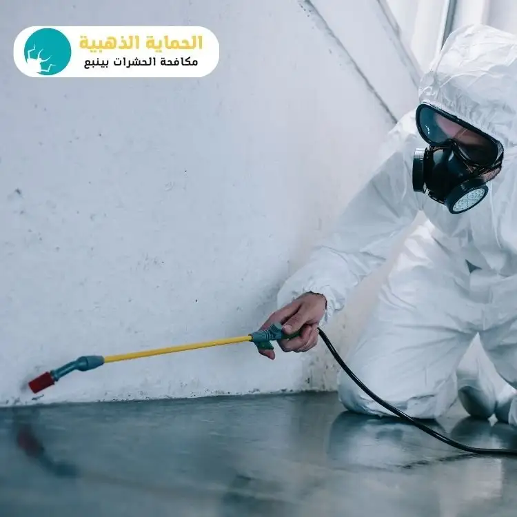 ارخص شركة رش حشرات بينبع