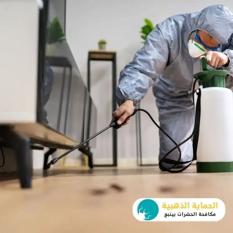 مكافحة حشرات بينبع